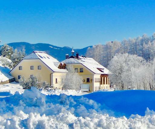Ferienwelt Bogensperger Apartment Мариапфар Екстериор снимка